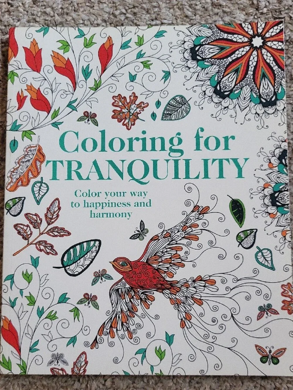 Creative Coloring Book Set